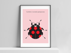 Nature: Ladybug Rose Modern Art Print Poster — CHRISTOPHER DINA